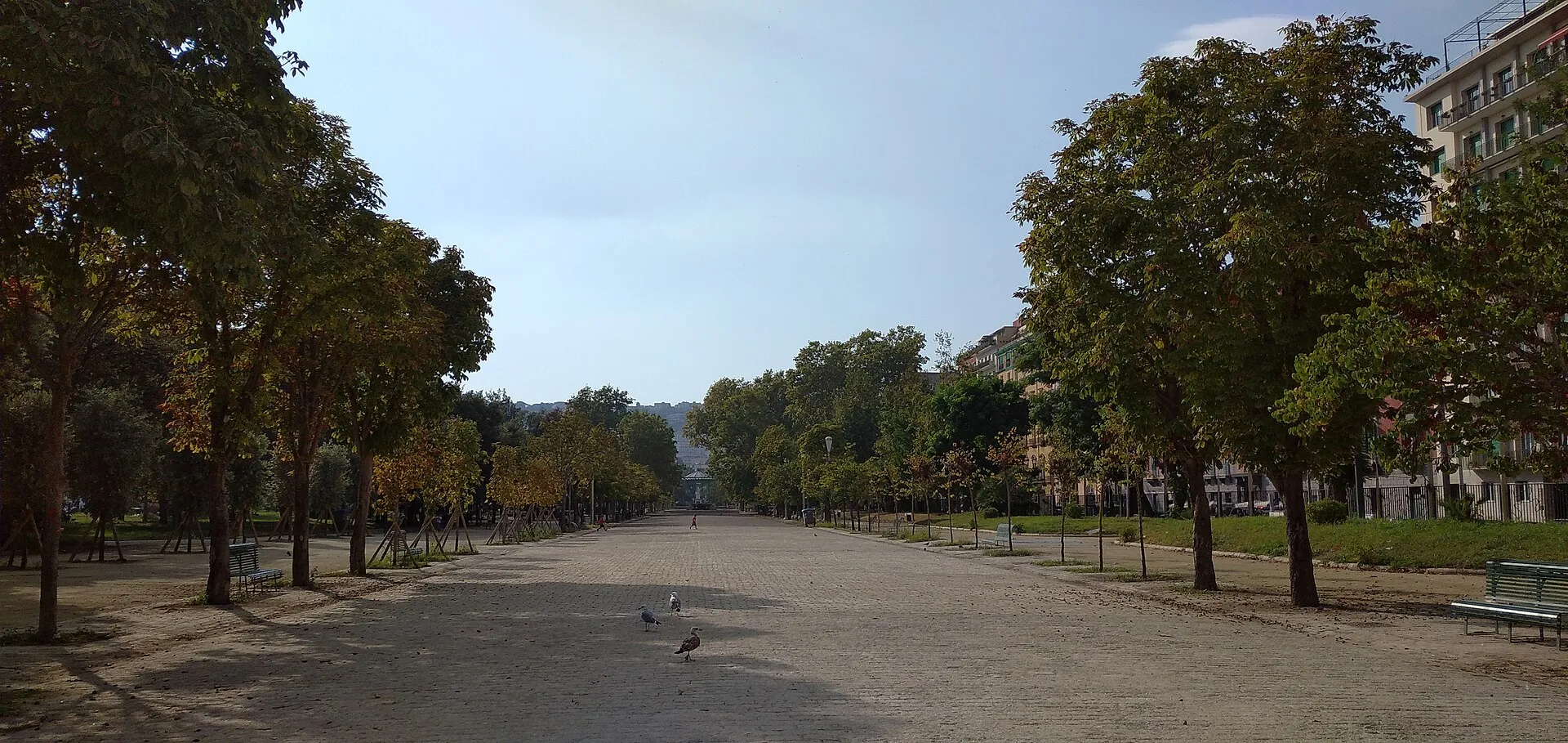 La Villa Comunale di Napoli, fra via Caracciolo e Chiaia