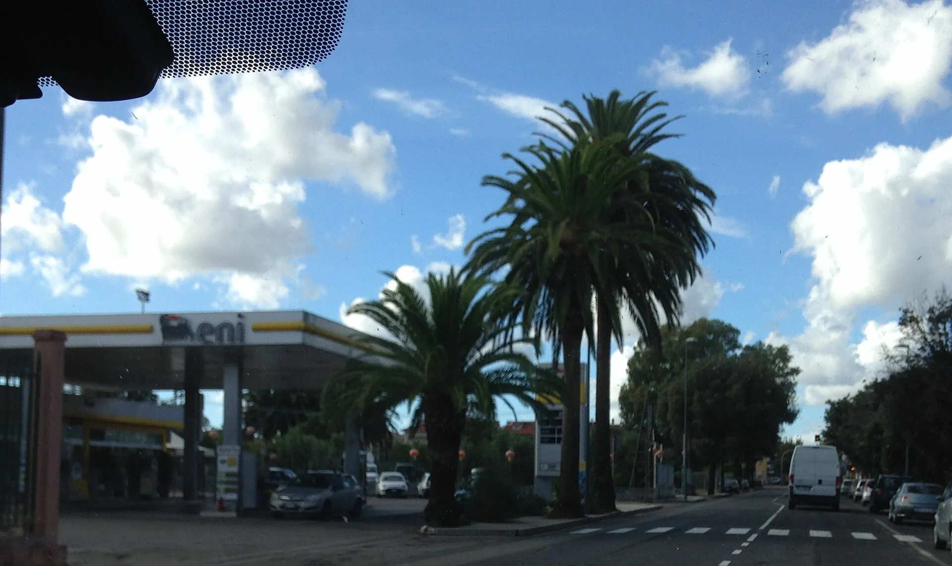 Una stazione di servizio con le pompe e la pensilina, fra le palme