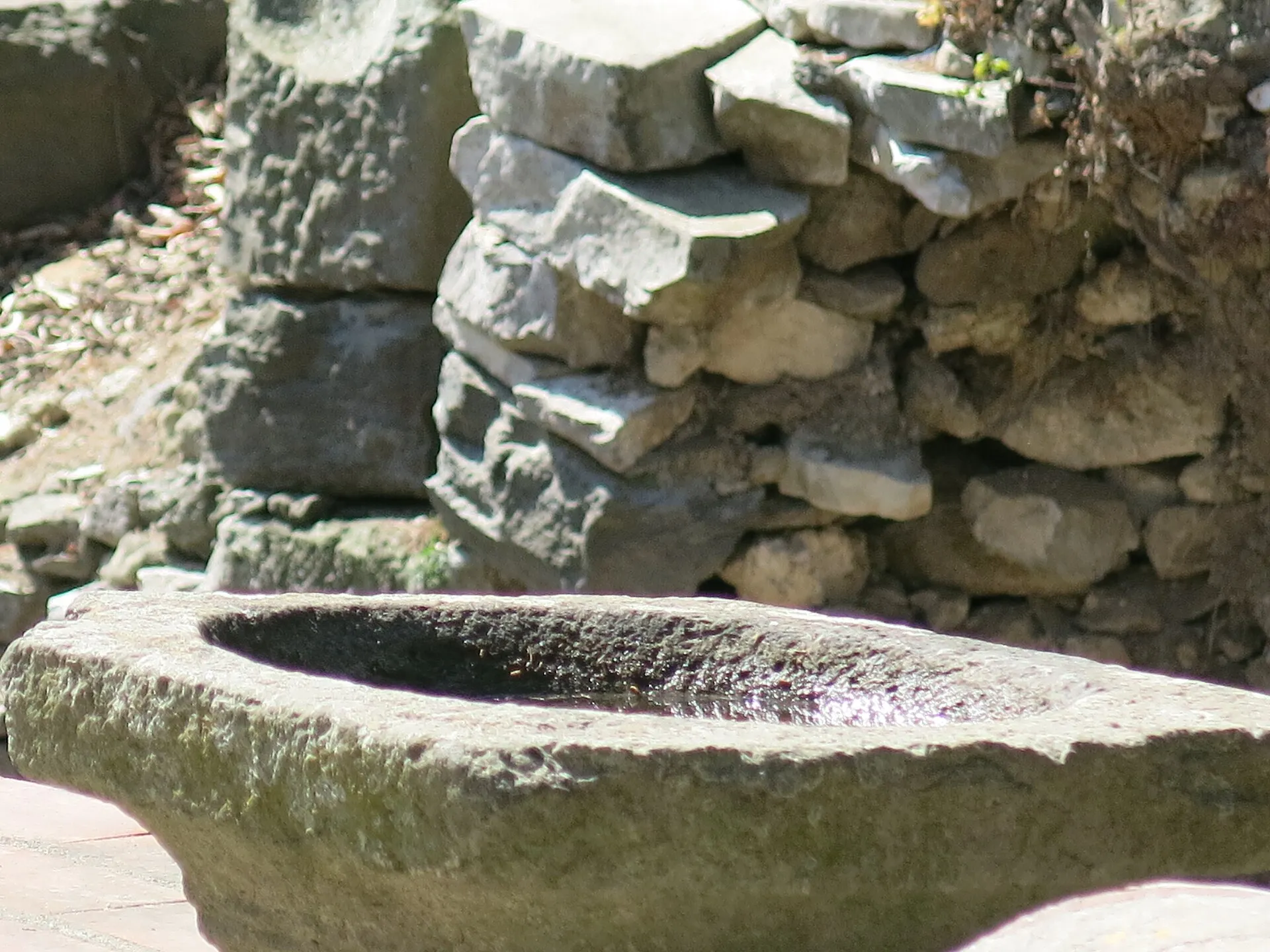 L'Anfiteatro Flavio di Pozzuoli