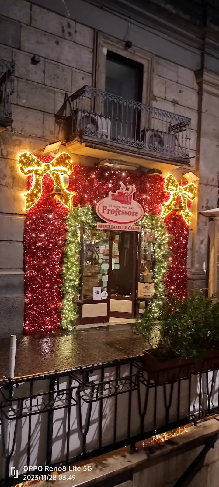 Famiglie delle piante a fiore
