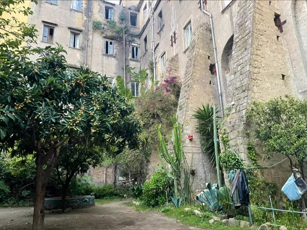 Il giardino liberato di Materdei