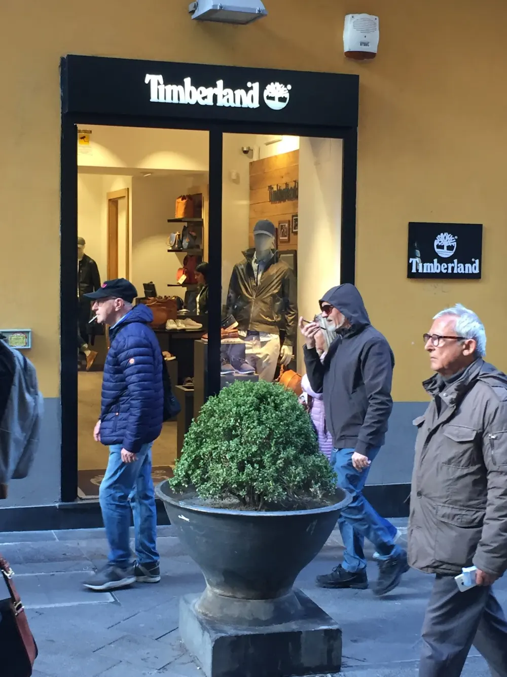 Timberland