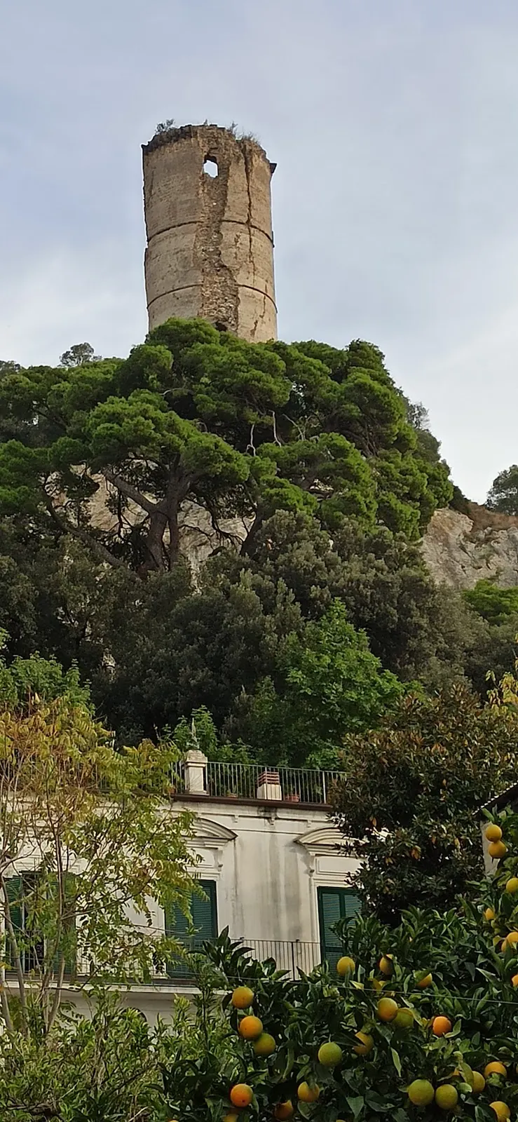 Maddaloni