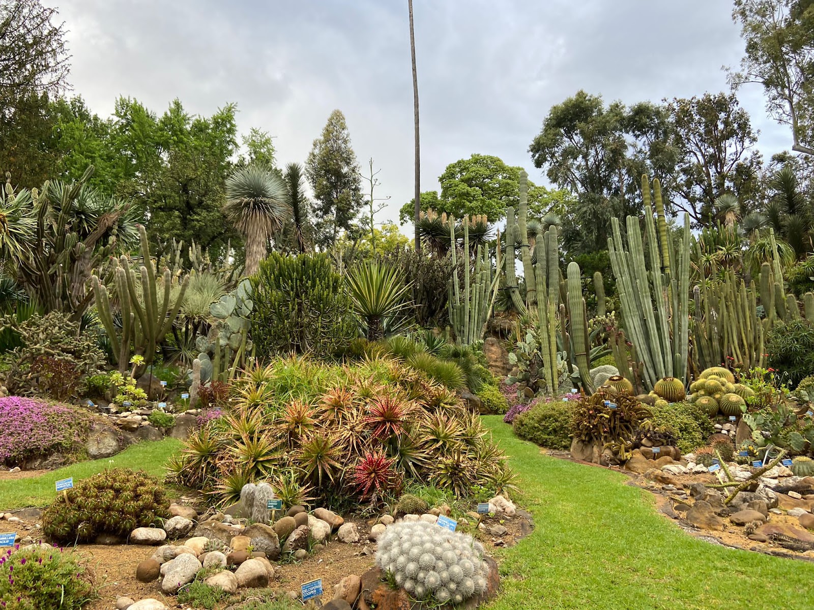Orto Botanico di Napoli — foto 2