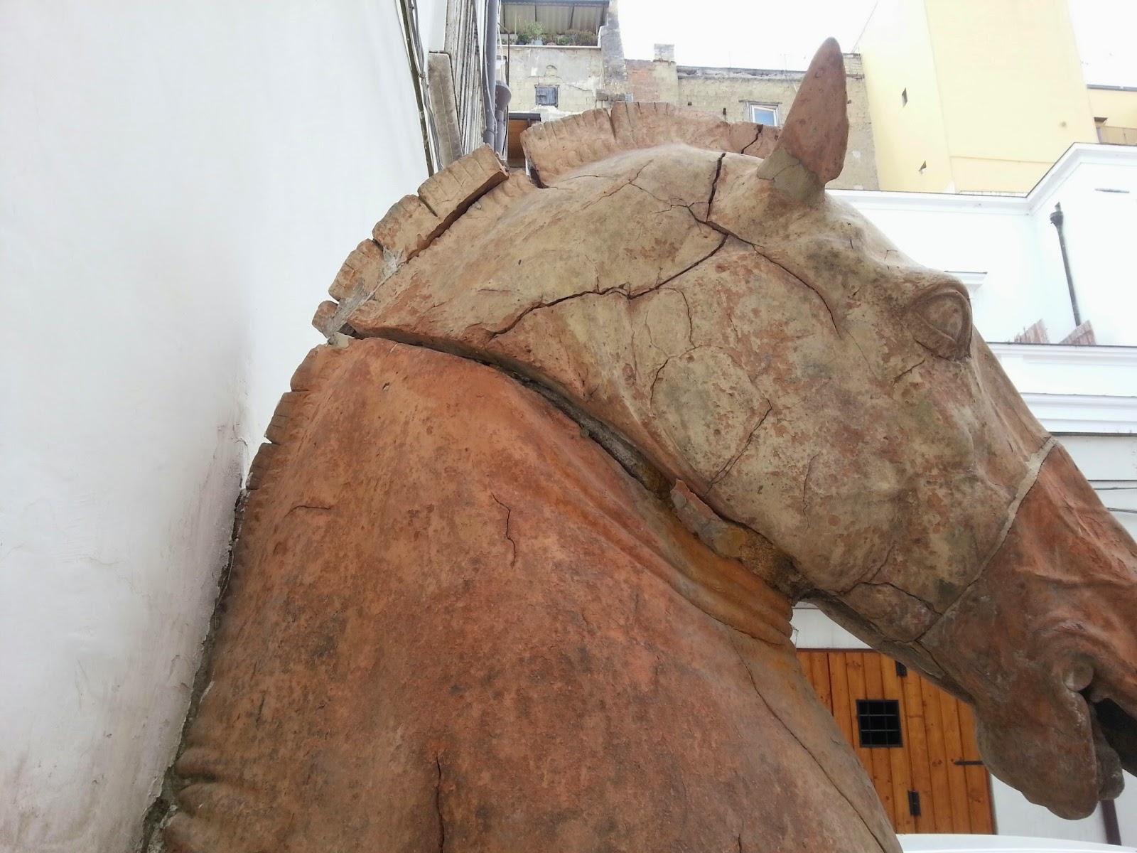 Palazzo Diomede Carafa e la testa di cavallo — Palazzi di Napoli