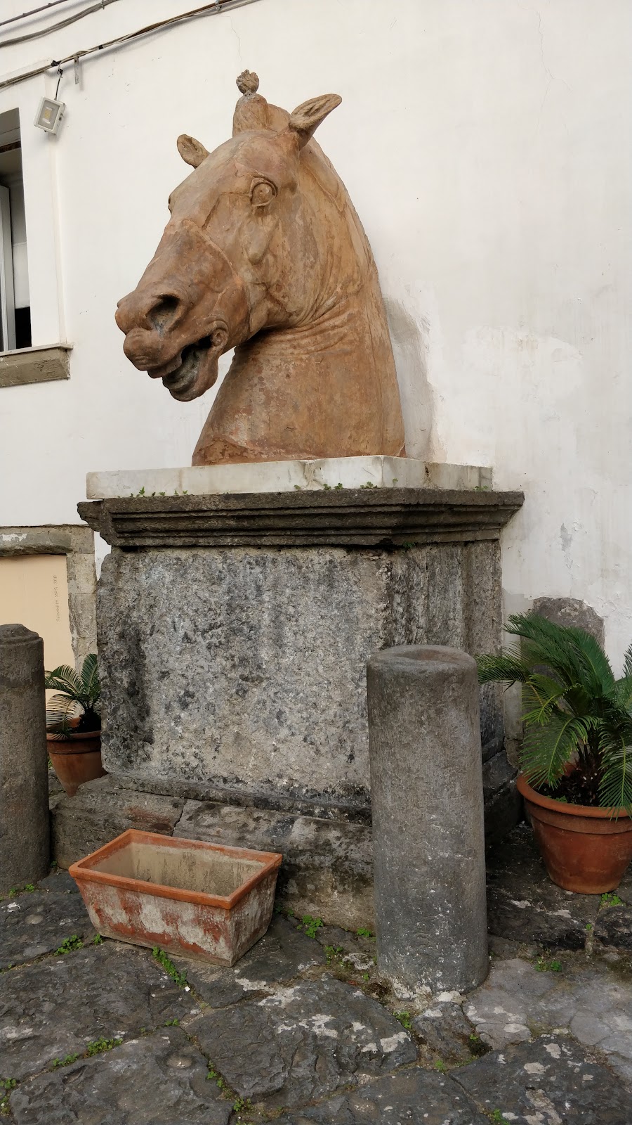 Palazzo Diomede Carafa e la testa di cavallo — foto 3
