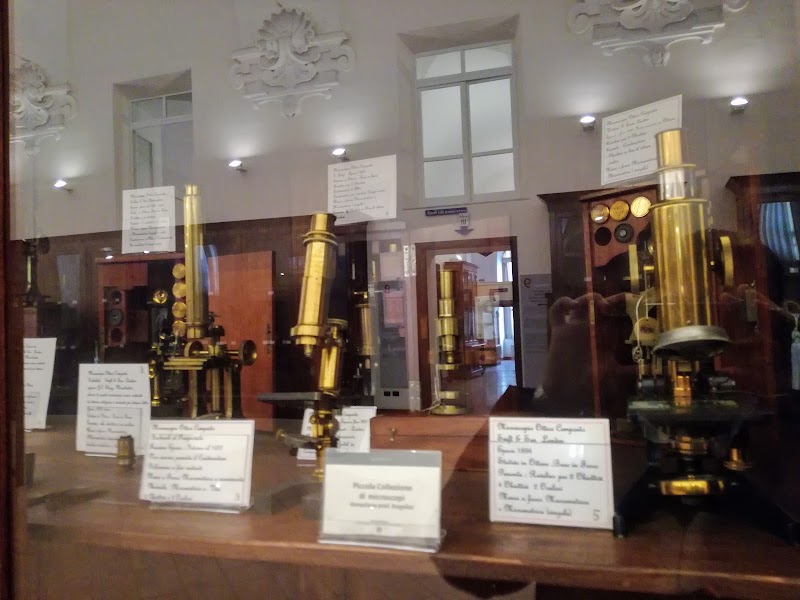 Musei Universitari di Mineralogia, Zoologia ed Antropologia
