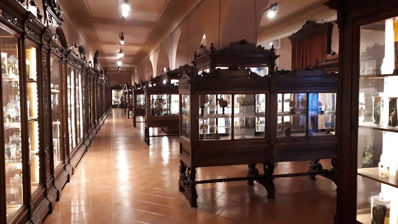 Museo Tessile