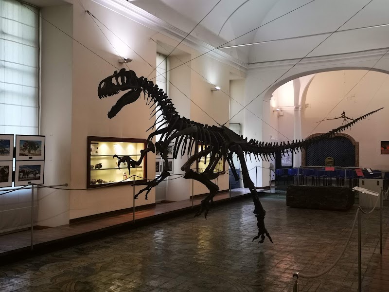 Museo Universitario di Paleontologia