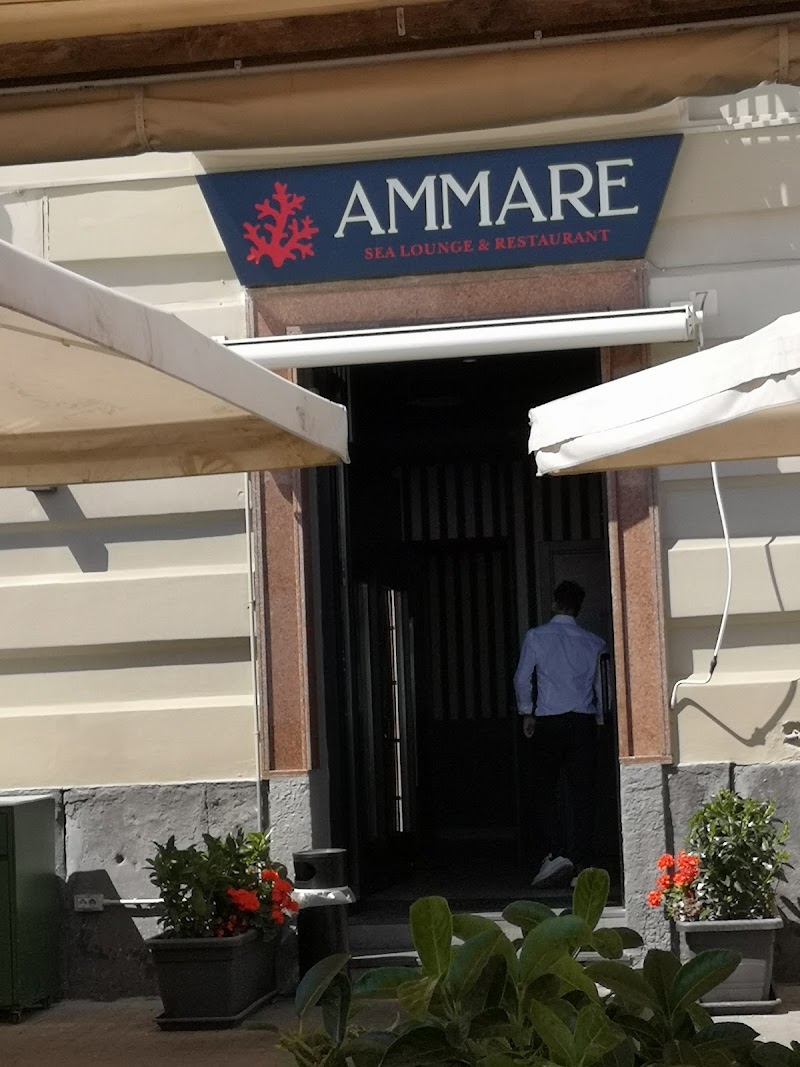Ammare