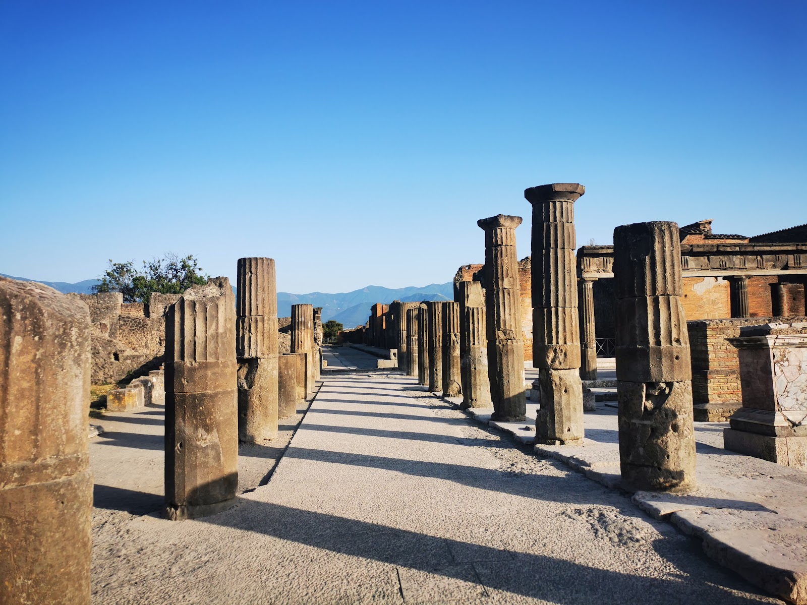 Pompeii or Herculaneum?